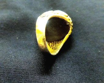 Anillo de Poderosa Autoridad / Anillo de Sulaiman