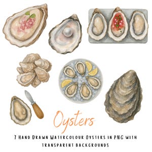 May include: Watercolor illustration of various oysters, some open with fillings, others closed. One oyster contains a pearl. A plate of oysters is garnished with lemon wedges. The word "Oysters" is written in orange script. The text below reads "7 Hand Drawn Watercolour Oysters in PNG with Transparent Backgrounds."