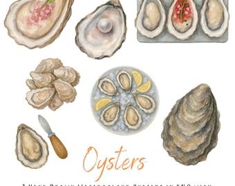 7 Ostras en acuarela PNG: ilustraciones de mariscos pintadas a mano con fondo transparente. Elementos de arte costero, gourmet y culinario.