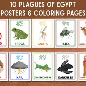 May include: A set of ten educational posters and coloring pages illustrating the ten plagues of Egypt. Each card features a different plague, such as blood, frogs, gnats, flies, and boils, with corresponding illustrations and text.