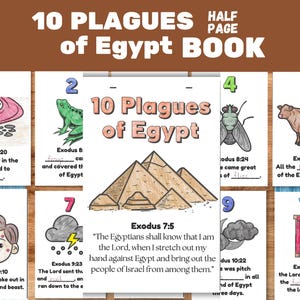 May include: A colorful educational book titled "10 Plagues of Egypt." The book features illustrated panels with Bible verses and drawings of plagues, including a river of blood, frogs, flies, and boils. The cover displays the title and pyramids.