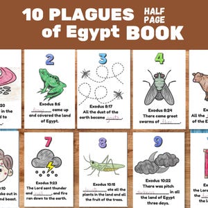May include: An educational poster titled "10 Plagues of Egypt Book" with illustrations and text from Exodus. The images depict various plagues, including blood, frogs, gnats, flies, livestock, boils, hail, locusts, darkness, and the firstborn.