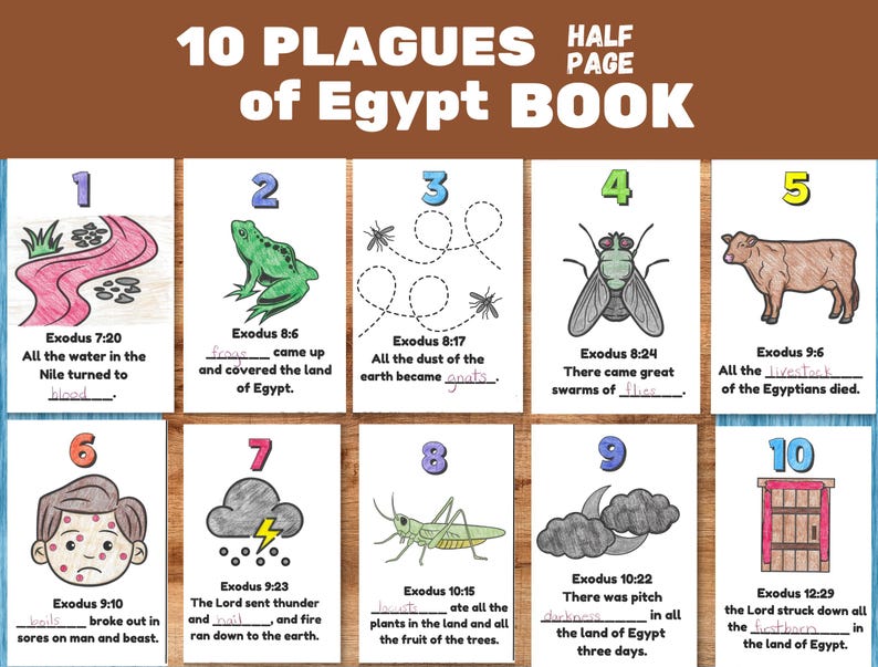 Pu&ograve; includere: Un poster educativo colorato intitolato "10 Piaghe d'Egitto Libro" con illustrazioni e testo dall'Esodo. Le immagini raffigurano varie piaghe, tra cui sangue, rane, zanzare, mosche, bestiame, bolle, grandine, locuste, oscurit&agrave; e primogeniti.