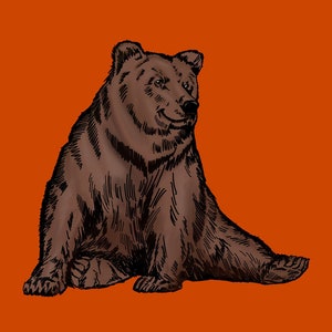 Bjorn Bear