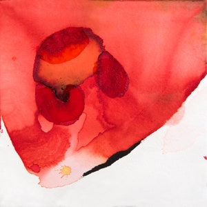 Klaproos 1. Aquarel. Uitstekende decoratieve giclée-print op Hahnemühle-papier.