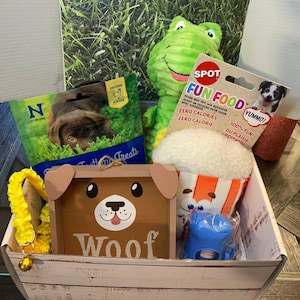 New Puppy Gift Box, Fun Gifts for Dogs, Dog Adoption Gift, Dog Treat, Puppy Essentials, Plush Dog Toys for Birthday Gift, Dog Gift Box image 1