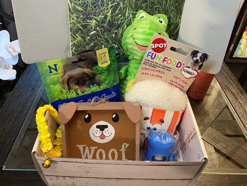 New Puppy Gift Box, Fun Gifts for Dogs, Dog Adoption Gift, Dog Treat, Puppy Essentials, Plush Dog Toys for Birthday Gift, Dog Gift Box image 1