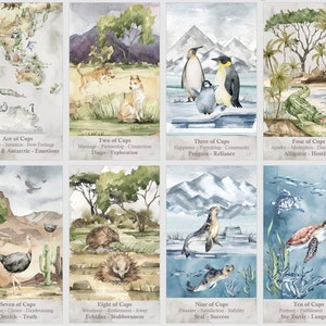 May include: A set of ten watercolor tarot cards featuring animals native to Australia and Antarctica. Each card depicts a different animal and has a title and description of the card's meaning. The cards are part of a larger set of tarot cards.