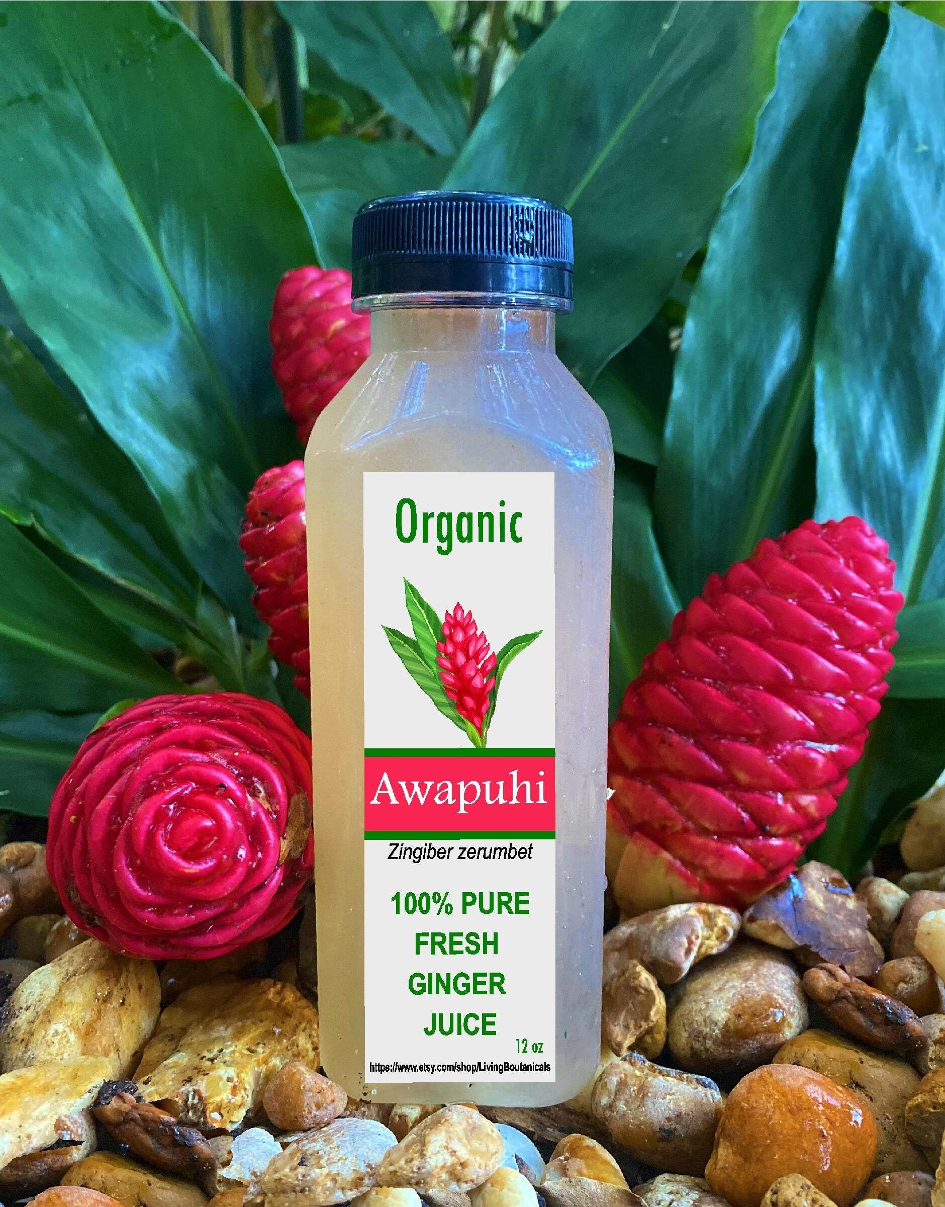 Organix Shampoo Awapuhi Ginger