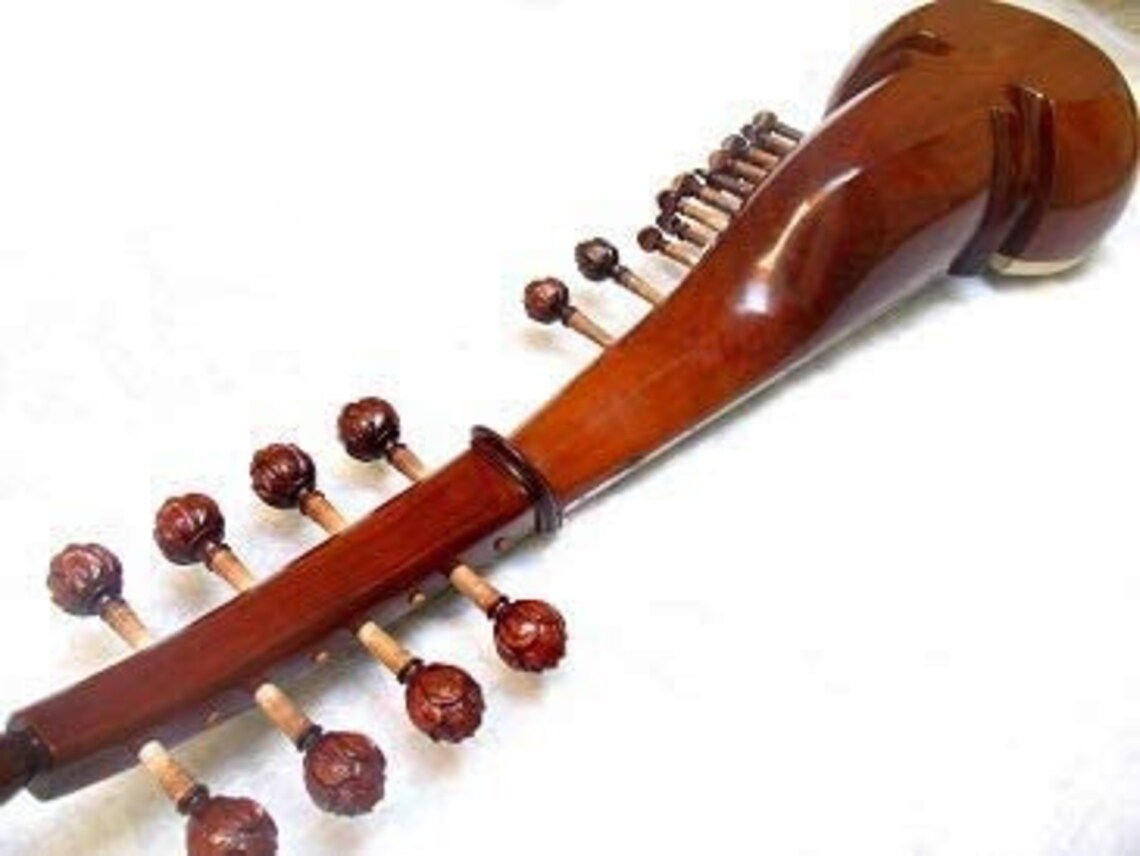 Naad Ns09 Professional Sarod Ali Akbar Khan Style Tun Wood Sarod
