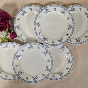 Antique flat plates X6 in ironstone, &quot;Athens&quot; model, from the French manufacturer Clairfontaine
