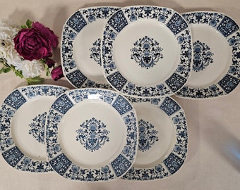 Antique flat plates X6 in iron earth, “Ibis” model, from the French manufacturer in Gien