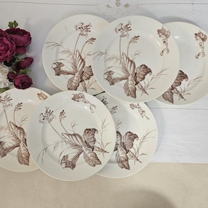 Antique flat plates X6 in iron clay model &quot;Primevère&quot; from the French manufacturer of Lunéville