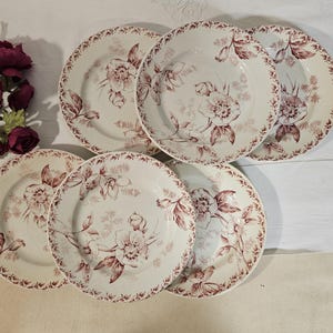 May include: A set of five round ceramic plates featuring a cream-colored base with a repeating maroon floral pattern. Each plate displays a central botanical illustration of flowers and leaves, with a matching floral border around the rim.