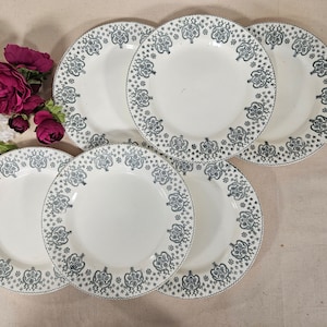 Antique flat plates X6 in ironstone model &quot;Palmes&quot; from the French factory of Salins