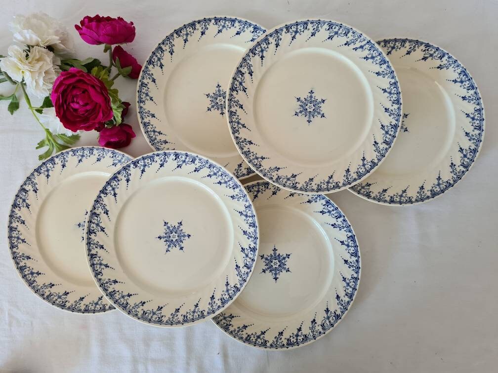 Assiettes Plates Anciennes X6 Terre de Fer 24cm Modèle Moustiers La Manufacture Française Sarreguemi