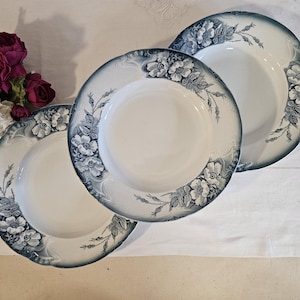Antique soup plates x3 – Terre de Fer model &quot;Sylvia&quot; from the French manufacturer Saint Amand Set of 3 French Ironstone Plates