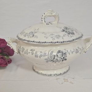 Antique ironware vegetable tureen &quot;Nantais&quot; model from the French manufacturer Boulenger