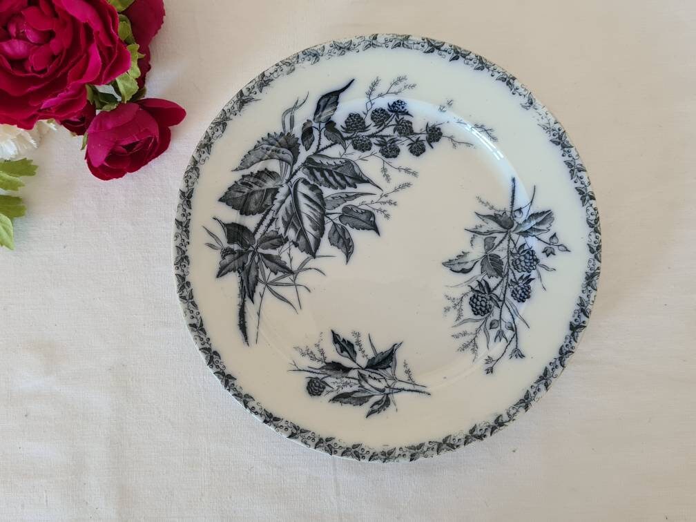 Assiette Plate Ancienne X1 en Terre de Fer Modèle Mûre La Manufacture Française Badonviller