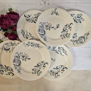 Antique flat plates X6 in iron earth, &quot;Tunis&quot; model, from the French factory of Salins