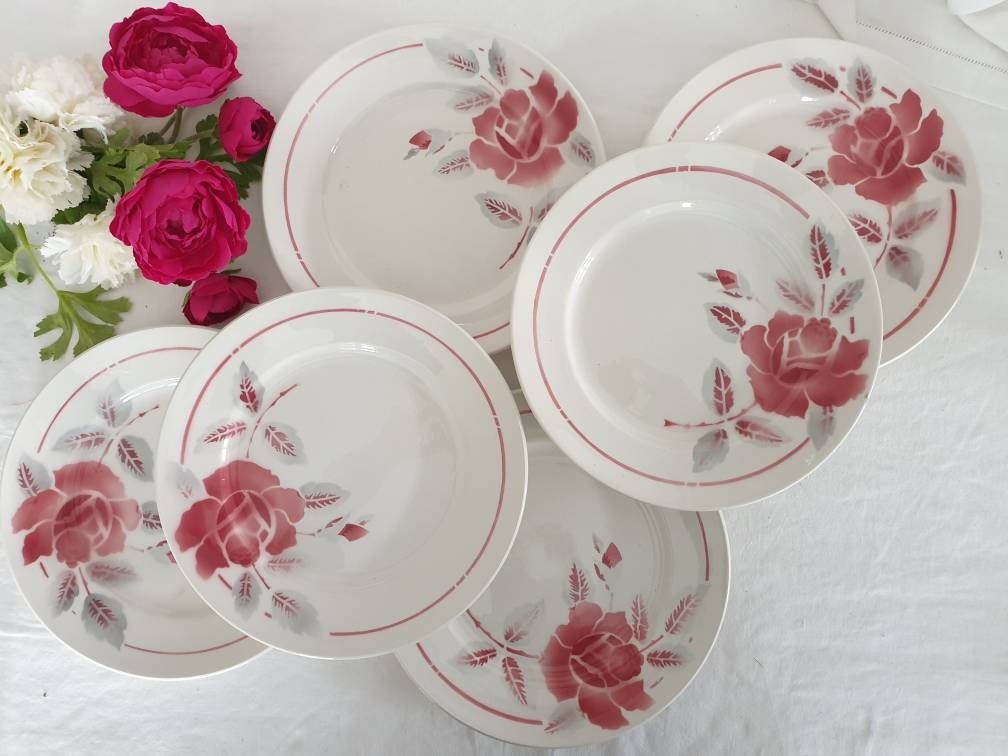 Assiettes Plates Anciennes X6 Modèle Floral de La Manufacture Française Moulin Des Loups