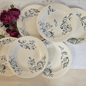 Antique X6 ironstone soup plates, &quot;Tunis&quot; model, from the French manufacturer Salins