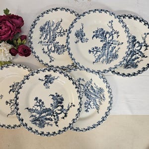Antique flat plates X6 in iron earth, &quot;Chardons&quot; model, from the French manufacturer in Gien