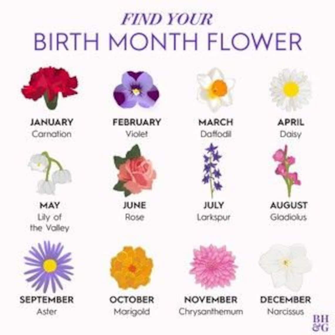 Les noms inclus Bouquet de fleurs de naissance Fleurs de Etsy