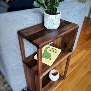 Puede incluir: Una mesa auxiliar de madera de nogal con dos estantes. El estante superior tiene un cactus en maceta y un libro titulado "All my friends are dead." El estante inferior tiene un portavelas.