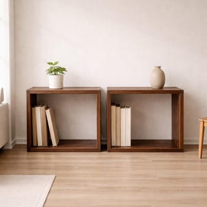 May include: Two dark brown wooden cube shelves, each with an open front. One shelf holds a small potted plant, the other a beige vase. Books are placed inside each shelf. The shelves are on a light wood floor.
