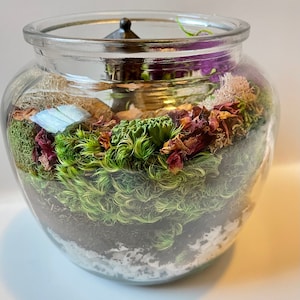 Enclosed Sustainable Terrarium/Home Decor/Plant-terrarium Environmental/Earthy/Gift/Unique Indoor Garden/activity Christmas - FREESHIPPING