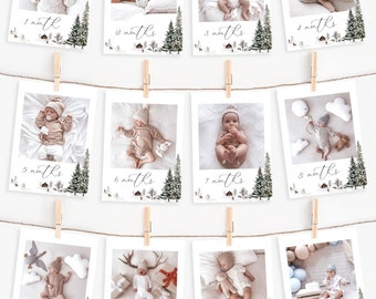 Winter Onederland Photo Banner Template, Onederland 1st Year Photo Banner Winter First Birthday Printable Editable Monthly Photo Banner, WO1