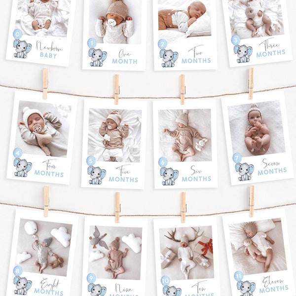 Elephant 1st Birthday Photo Banner Template Editable 1st Year Photo Banner Blue Elephant Birthday Boy Monthly Milestone for Boys Any Age BB7