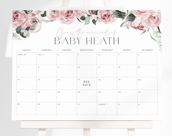 Calendário de data de parto para bebês rosa blush, placa de data de parto para chá de bebê floral rosa, placa editável para data de nascimento do bebê, adivinha a data de chegada, previsão do bebê PF3