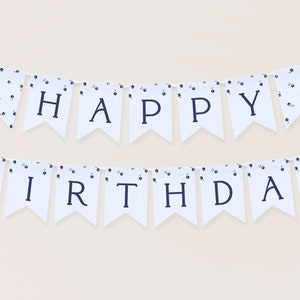 Banner eerste verjaardag Berry. Blueberry Happy Birthday Banner Blueberry verjaardagsslinger Berry Sweet Banner slinger voor meisjes feestdecor, B6