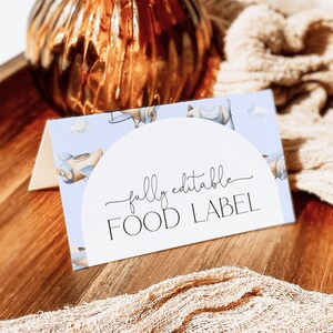 Editable Airplane Food Labels Template. Airplane Birthday Blue Plane 1st Birthday Party Decor Food Label Cards Aviator Tent Place Card, AP3