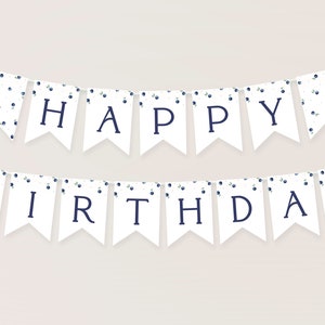 Banner eerste verjaardag Berry. Blueberry Happy Birthday Banner Blueberry verjaardagsslinger Berry Sweet Banner slinger voor meisjes feestdecor, B7
