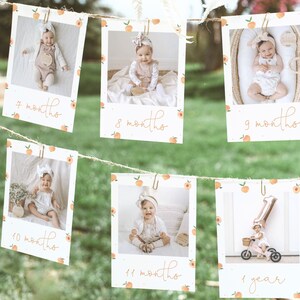 Sweet as a Peach First Birthday Photo Banner for Girl Peach 1st Year Photos Peach 1st Birthday Photo Banner Monthly Milestone Sweet Peach P2