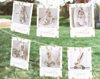 May include: A peach-themed baby milestone photo banner with photos of a baby at different ages. The banner includes the ages 7 months, 8 months, 9 months, 10 months, 11 months, and 1 year.
