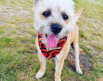 Chien bandana neckerchief | le motif de tapis à thème d’horreur brillant personnalisé brodé n’importe quel nom | goth alternatif Stephen King animal de compagnie