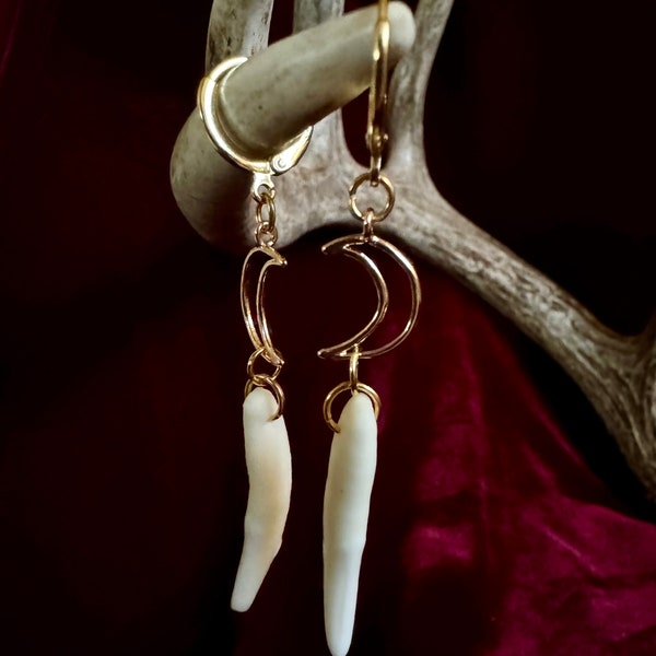 Coyote Fang Moon Earrings