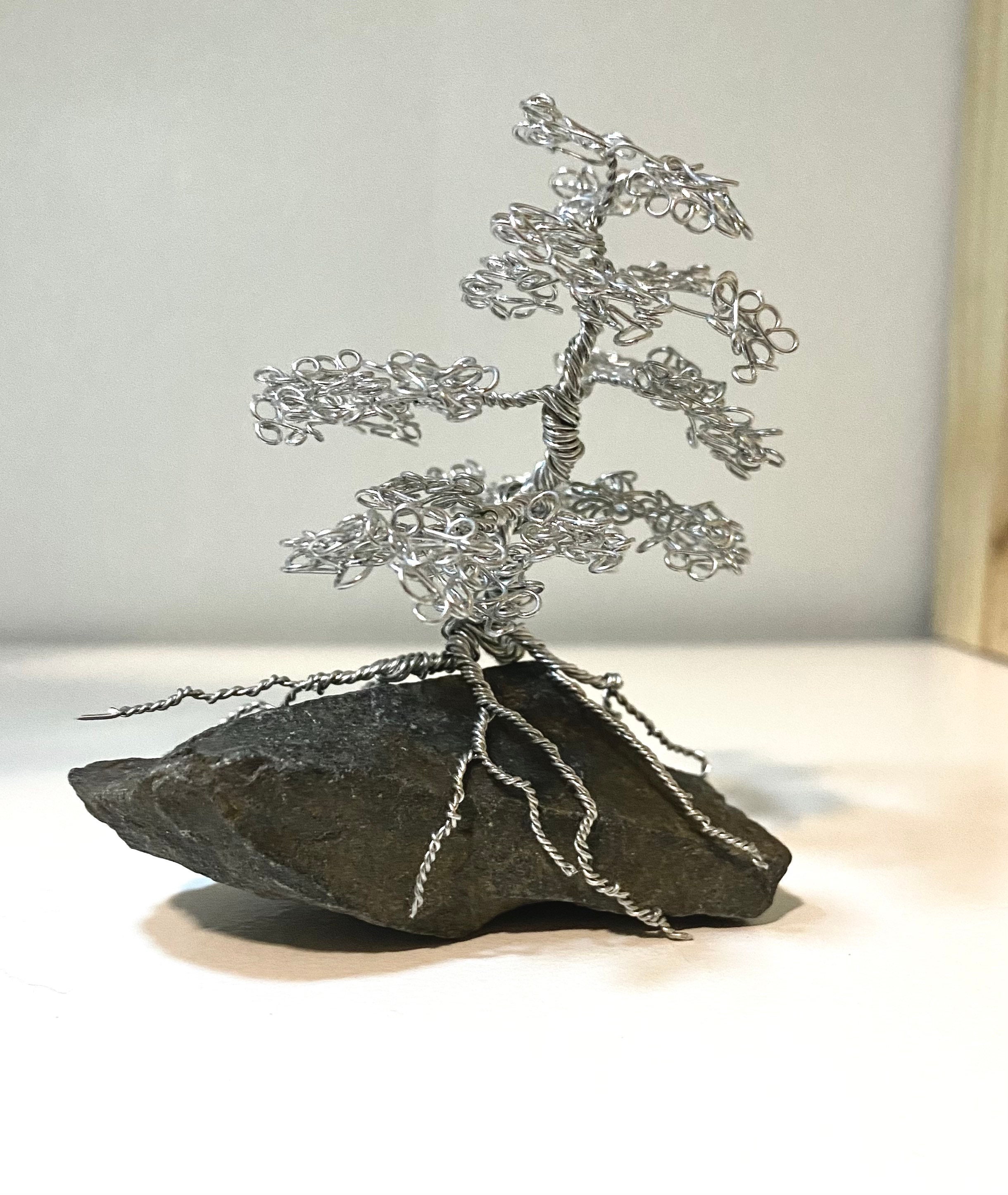 Árbol de bonsái de plata WT4 Etsy