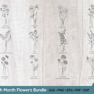 Geboortemaand bloemen SVG PNG, Floral Svg bundel, met de hand getekende botanische clipart, geboorte bloemen Svg-bestanden voor Cricut, Png, Eps, Dxf