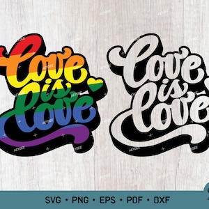 El amor es amor svg png, LGBTQ svg png, orgullo LGBTQ svg png, mes del orgullo svg png, orgullo gay svg, amor es amor arco iris svg y sublimación png