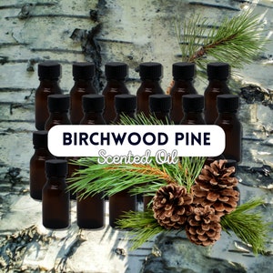 May include: A collection of 16 small brown glass bottles with black caps, filled with Birchwood Pine scented oil. The bottles are arranged in a semi-circle on a birch bark background. A pine branch with pine cones is in the foreground.