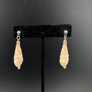 May include: A pair of drop earrings featuring natural, tan-colored spiral seashells suspended from silver-toned metal posts. Each shell has a textured, ridged surface and is attached to the earring hardware by a small silver-toned metal cap.