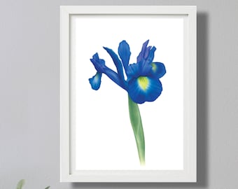BLUE IRIS - A4/A3 Instant Download Print, Wall Art Print, Modern Wall Art, Botanical Illustration Print, Colour Print,Digital Print