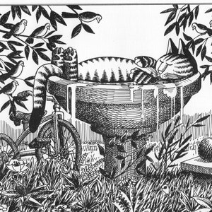 Kliban Gato Arte Vintage Impresión – Gato Disfrutando de Baño de Pájaro en Verano #8108