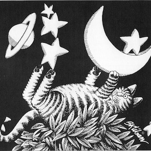 Kliban gato arte Vintage impresión gato amante regalo - gato por la noche con la luna y las estrellas 8000