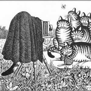 Kliban Cat Art Vintage Print – Cats Taking Family Portrait Photo #8104
